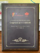 国内首个Cognia认证OSSD国际班落地北京中加学校