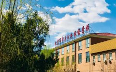 北京市中关村外国语学校5月4日开放小学线上开放日