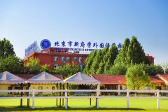 北京新府学外国语学校   2022年初中招生简章 